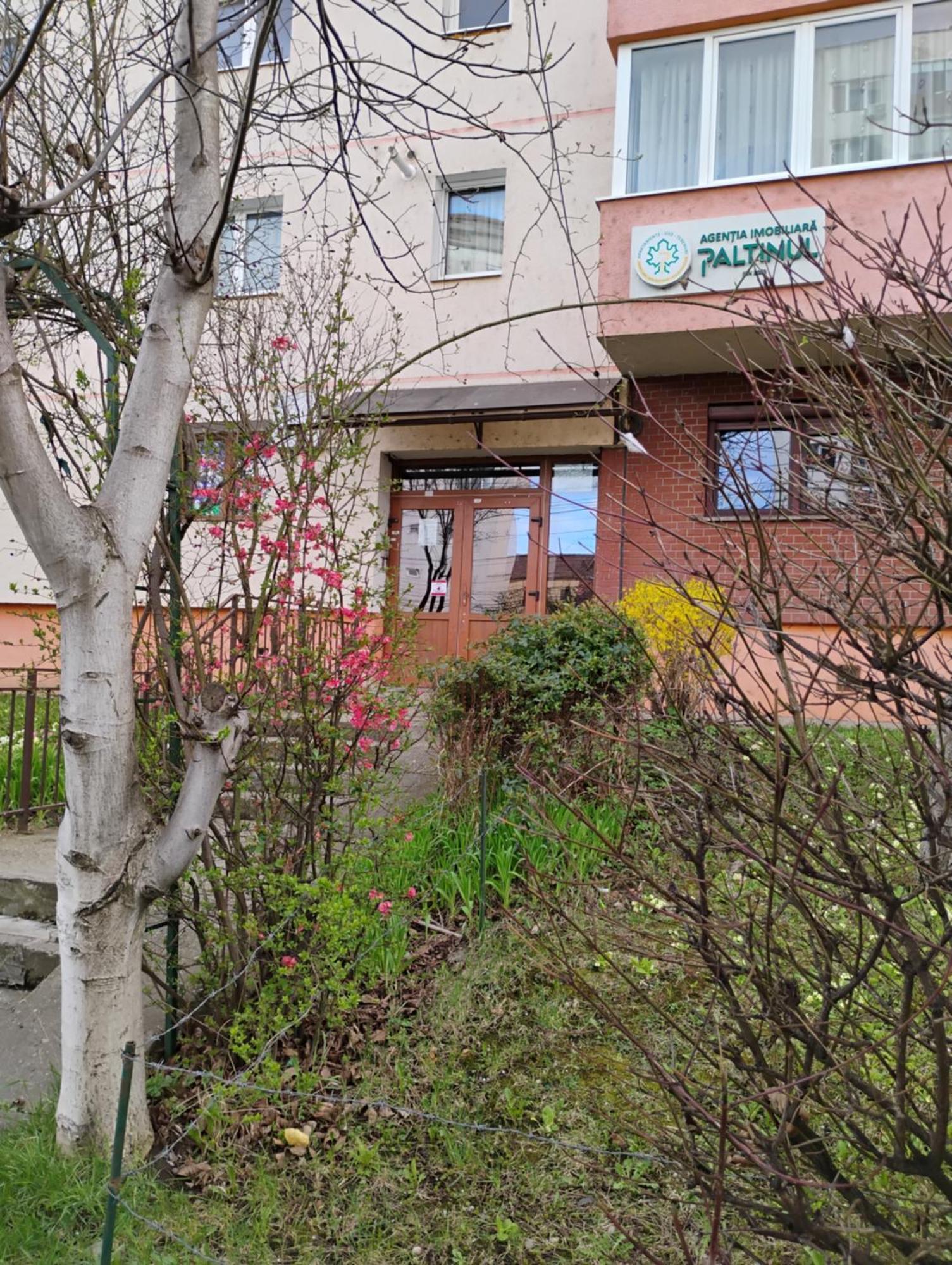 Apartament Acasa Sibiu Eksteriør billede